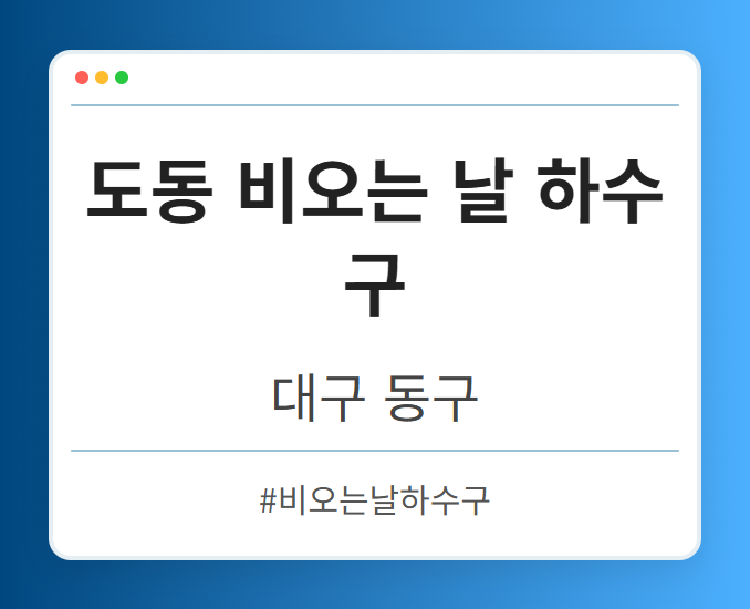 도동 비오는 날 하수구 - 대구 동구 도동 비오는 날 하수구 전문업체