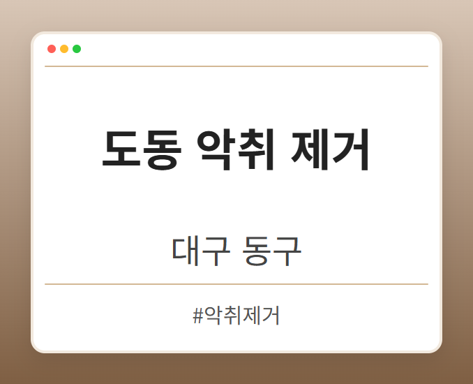 도동 악취 제거 - 대구 동구 도동 악취 제거 전문업체