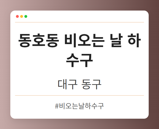 동호동 비오는 날 하수구 - 대구 동구 동호동 비오는 날 하수구 전문업체