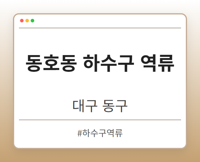 동호동 하수구 역류 - 대구 동구 동호동 하수구 역류 전문업체