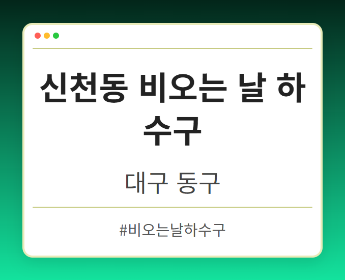 신천동 비오는 날 하수구 - 대구 동구 신천동 비오는 날 하수구 전문업체