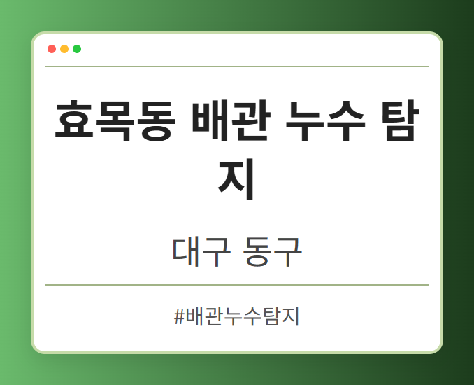 효목동 배관 누수 탐지 - 대구 동구 효목동 배관 누수 탐지 전문업체