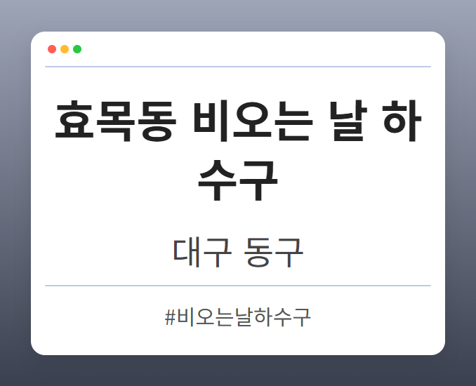 효목동 비오는 날 하수구 - 대구 동구 효목동 비오는 날 하수구 전문업체