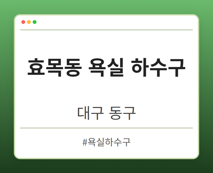 효목동 욕실 하수구 - 대구 동구 효목동 욕실 하수구 전문업체