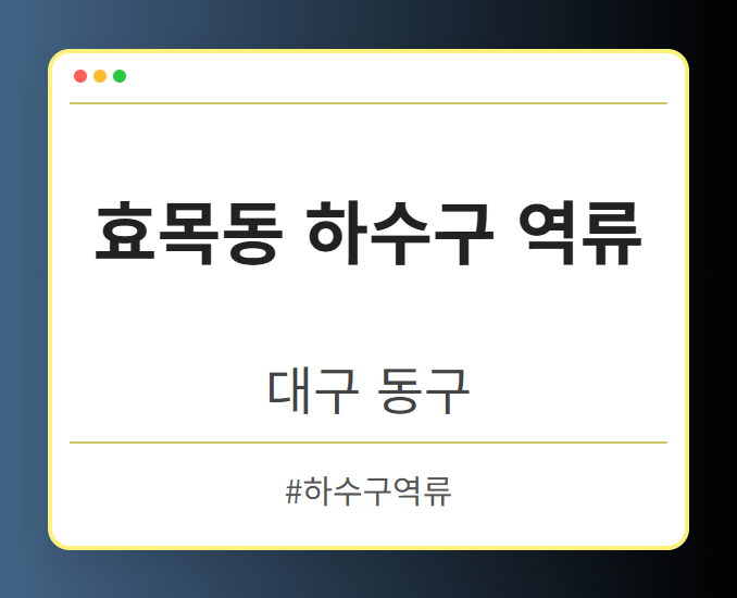 효목동 하수구 역류 - 대구 동구 효목동 하수구 역류 전문업체